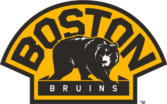 Boston Bruins 2007-Pres Alternate Logo fabric transfer
